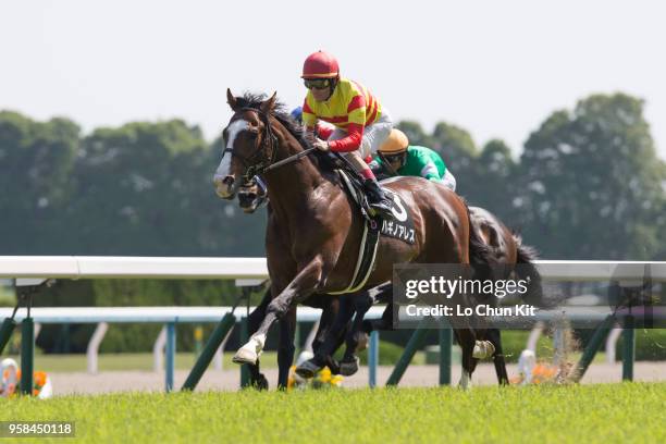 Jockey Mirco Demuro riding Hagino Ares wins the Race 9 Kamogawa Tokubetsu at Kyoto Racecourse on May 5, 2018 in Kyoto, Japan.