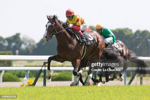 Jockey Mirco Demuro riding Hagino Ares wins the Race 9 Kamogawa Tokubetsu at Kyoto Racecourse on May 5, 2018 in Kyoto, Japan.