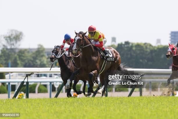 Jockey Mirco Demuro riding Hagino Ares wins the Race 9 Kamogawa Tokubetsu at Kyoto Racecourse on May 5, 2018 in Kyoto, Japan.