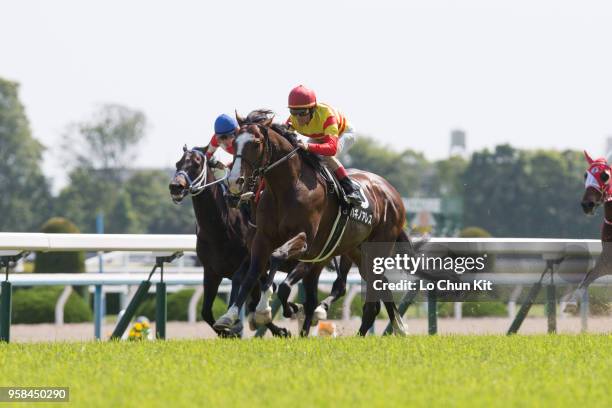 Jockey Mirco Demuro riding Hagino Ares wins the Race 9 Kamogawa Tokubetsu at Kyoto Racecourse on May 5, 2018 in Kyoto, Japan.