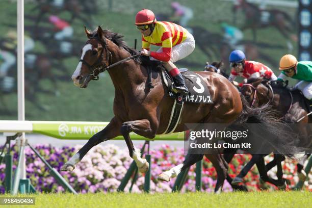 Jockey Mirco Demuro riding Hagino Ares wins the Race 9 Kamogawa Tokubetsu at Kyoto Racecourse on May 5, 2018 in Kyoto, Japan.