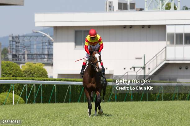 Jockey Mirco Demuro riding Hagino Ares wins the Race 9 Kamogawa Tokubetsu at Kyoto Racecourse on May 5, 2018 in Kyoto, Japan.