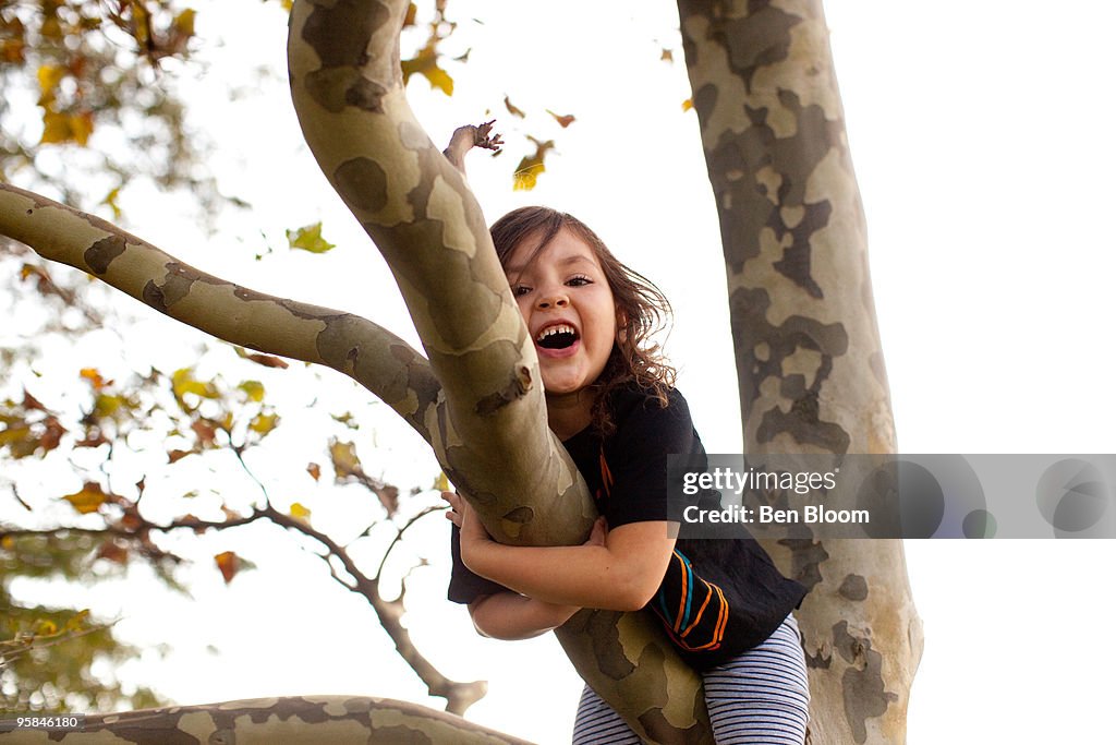 Girl smiling up in tree