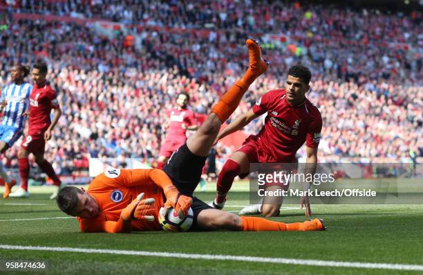 Dominic Solanke of Liverpool watches as Brighton goalkeeper Matthew Ryan gathers the ball during the Premier League match between Liverpool and...