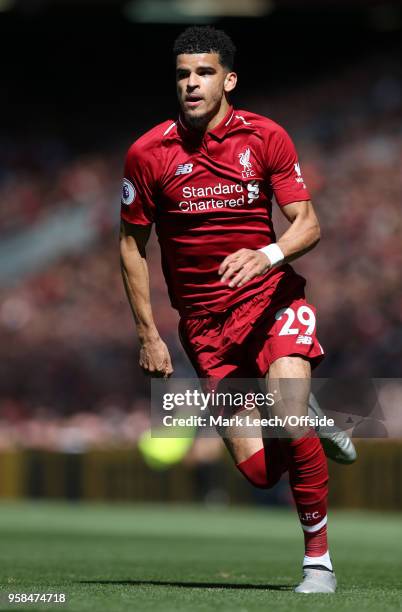 Dominic Solanke of Liverpool during the Premier League match between Liverpool and Brighton and Hove Albion at Anfield on May 13, 2018 in Liverpool,...