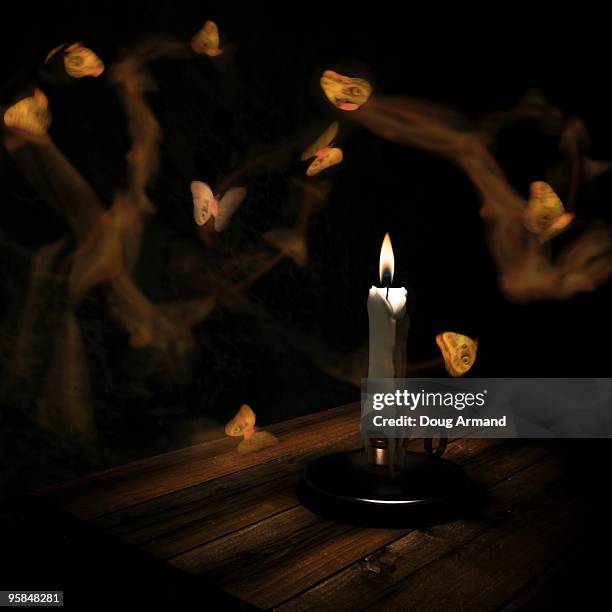 moths to a flame - moth stock illustrations