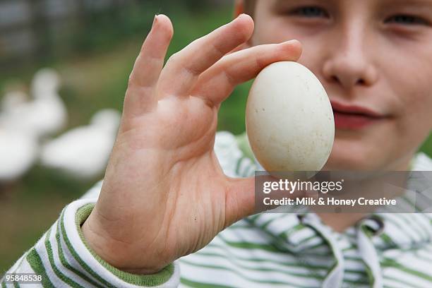 boy holding egg - honey boy fotografías e imágenes de stock