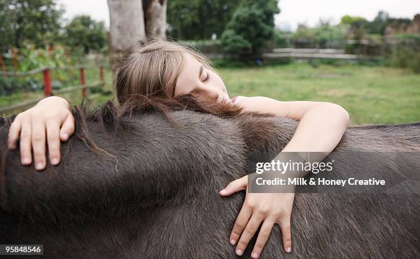 girl hugs donkey  - ass six stock pictures, royalty-free photos & images