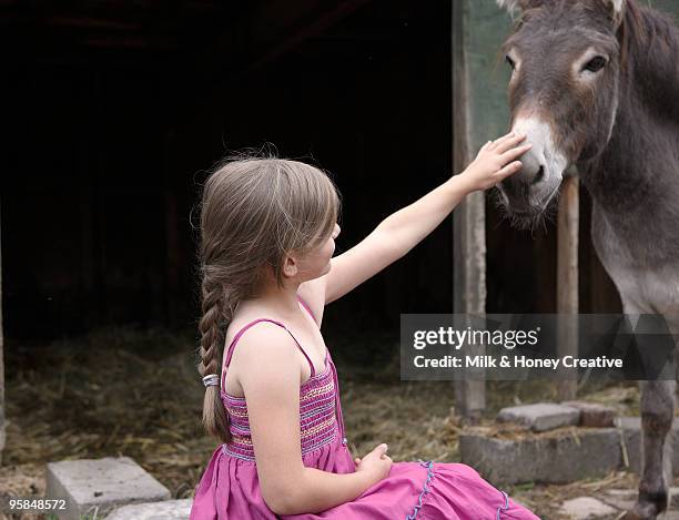 girl petting farm donkey  - ass six stock pictures, royalty-free photos & images