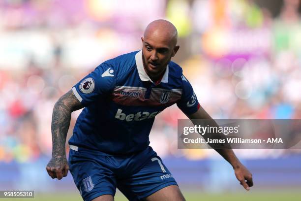 Stephen Ireland of Stoke City during the Premier League match between Swansea City and Stoke City at Liberty Stadium on May 13, 2018 in Swansea,...