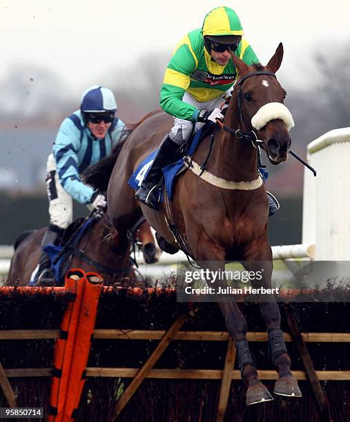 Mark Bradburne and Evella clear an early flight on the way to victory in The E.B.F. Mares' 'National Hunt' Novices' Hurdle Race run at Plumpton...