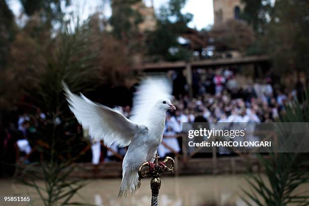 Christian Orthodox worshippers gather on the Jordanian side of the Jordan River while a white dove is freed from the West Bank side of the baptismal...