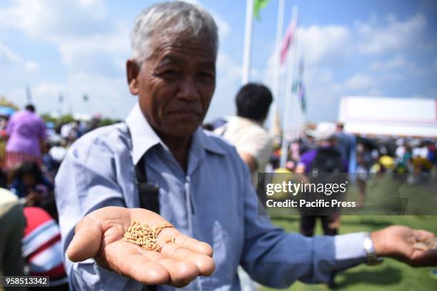 Thai farmers collect scattered rice seeds, which are believed to bring good luck, wealth and abundance of harvest for the year ahead, during the...