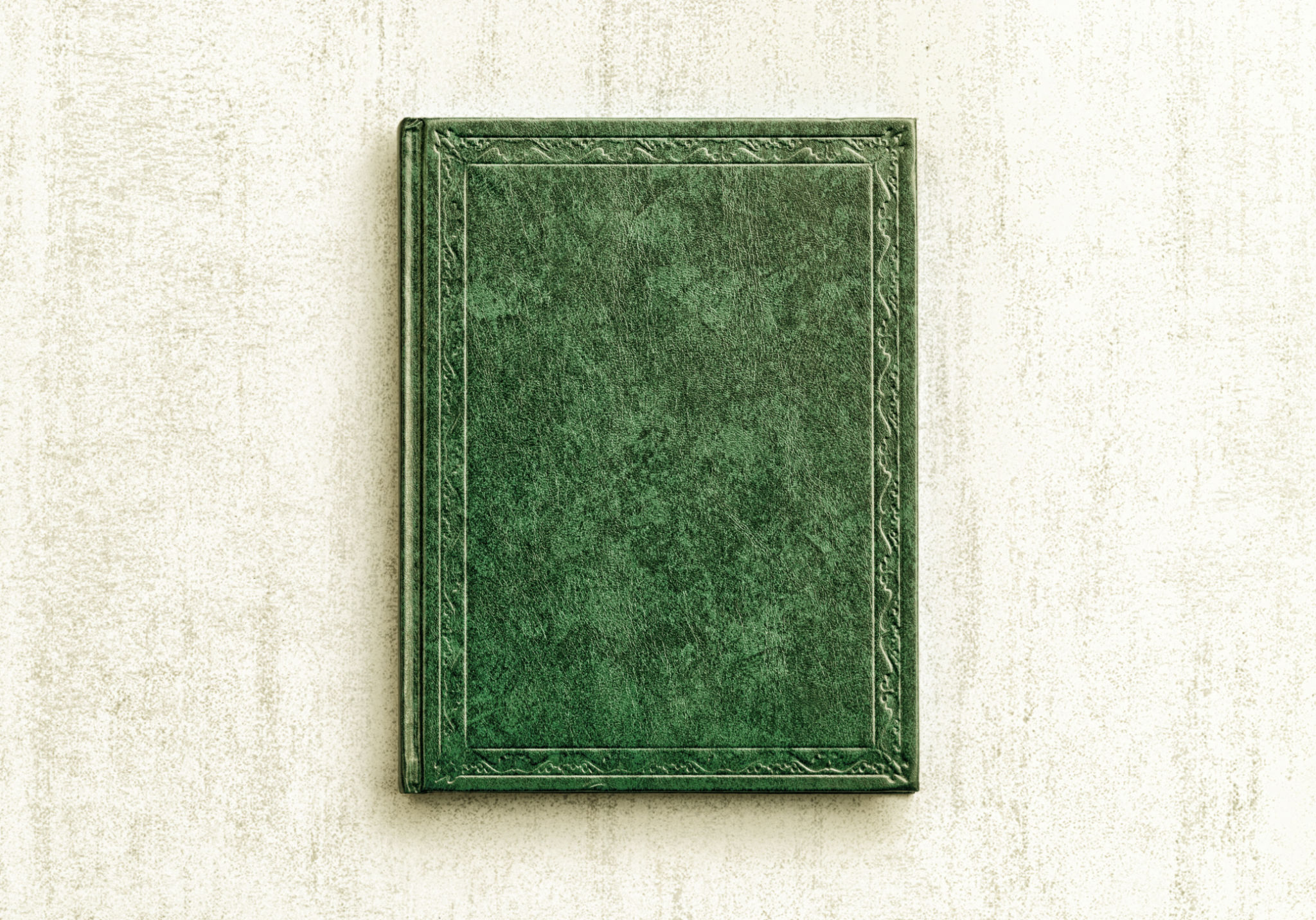 fantasy book cover