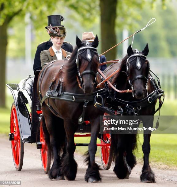 Lady Louise Windsor seen carriage driving as she takes part in The Champagne Laurent-Perrier Meet of the British Driving Society on day 5 of the...