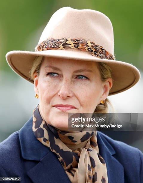 Sophie, Countess of Wessex seen carriage driving as she takes part in The Champagne Laurent-Perrier Meet of the British Driving Society on day 5 of...