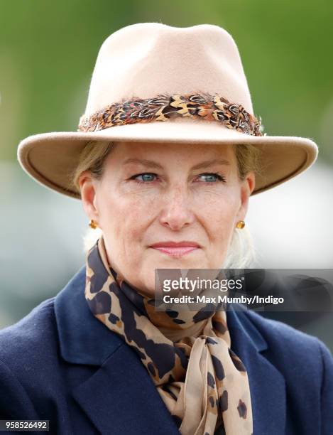 Sophie, Countess of Wessex seen carriage driving as she takes part in The Champagne Laurent-Perrier Meet of the British Driving Society on day 5 of...