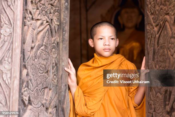 novices monk at temple .luang prabang - monk stock-fotos und bilder