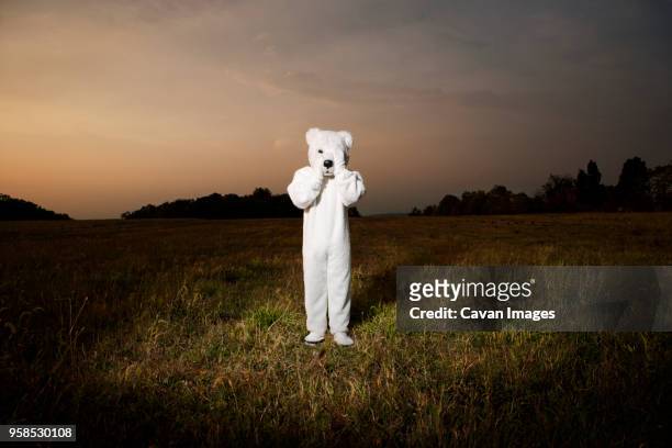 person wearing polar bear costume while standing on field during sunset - bear suit stock pictures, royalty-free photos & images