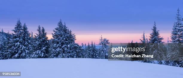 winter landscape - winter panoramic stock pictures, royalty-free photos & images