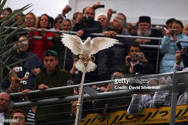 Symbolic white dove finds a perch on a priest's staff after it was released during Epiphany celebrations by the Jordan River on January 18, 2010 at...