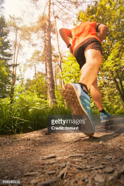 runner in forest - low angle view - feet jogging imagens e fotografias de stock