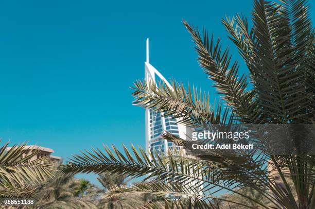burj al arab hotel and plam trees  (dubai, united arab emirates) - dirham stock pictures, royalty-free photos & images