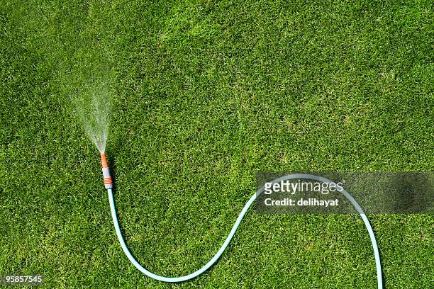 garden hose - watering stock pictures, royalty-free photos & images