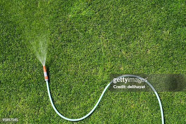 garden hose - garden hose stock pictures, royalty-free photos & images