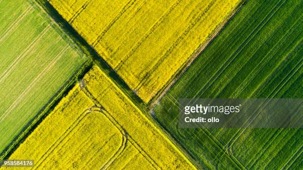 agricultural area in spring - field aerial imagens e fotografias de stock