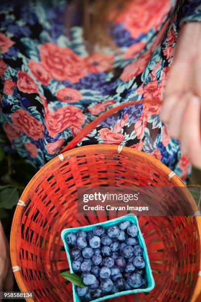 overhead view of woman holding blueberry carton in basket - barquette photos et images de collection