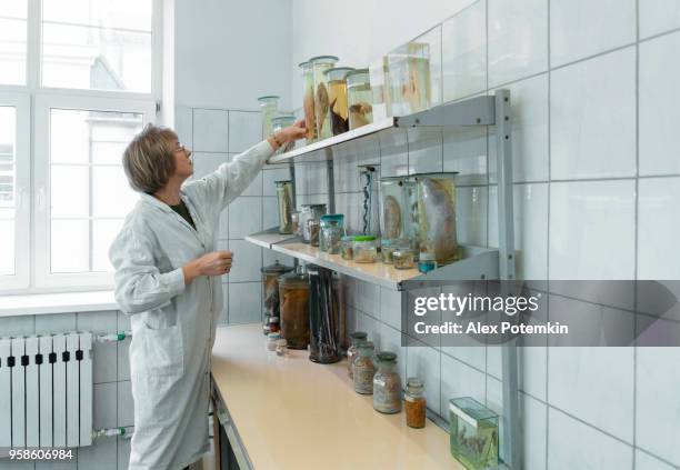 la 50 años de edad atractiva mujer madura, científico, estudiando a la muestra mojada de la zoología en el laboratorio de biología - contenedor de muestras fotografías e imágenes de stock