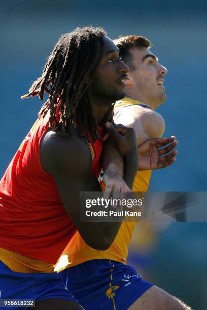 Nic Naitanui and Scott Lycett work on stoppage drills during a West Coast Eagles AFL training session at Subiaco Oval on May 15, 2018 in Perth,...