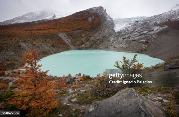 huemul glacier, parque nacional los glaciares (glaciers national park) - parque nacional glacier 個照片及圖片檔