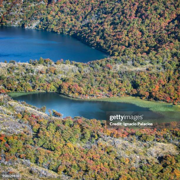 blue and green lagoon, los huemules, glaciers national park - ignacio palacios stock pictures, royalty-free photos & images