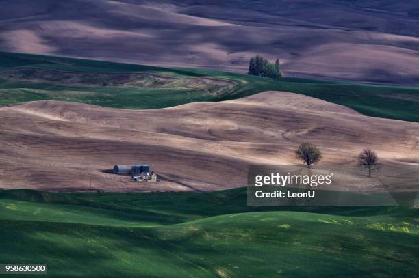 palouse in spring, wa, usa - pole barn stock pictures, royalty-free photos & images