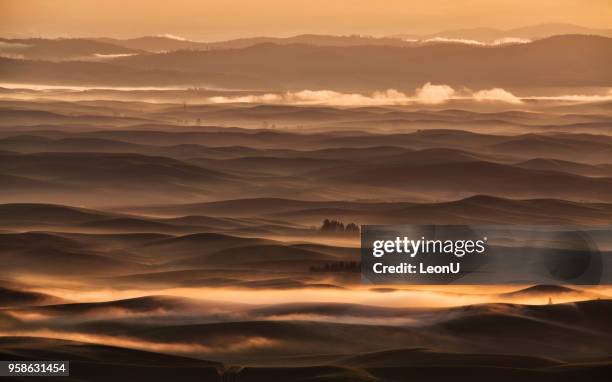 palouse at sunrise, wa, usa - pole barn stock pictures, royalty-free photos & images