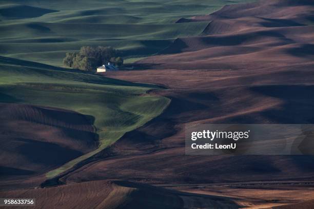 palouse in spring, wa, usa - pole barn stock pictures, royalty-free photos & images