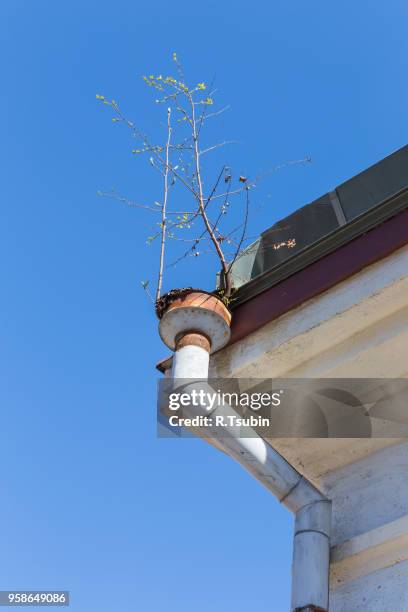 rain gutter on house with blue sky in the background - overhangende rots stockfoto's en -beelden