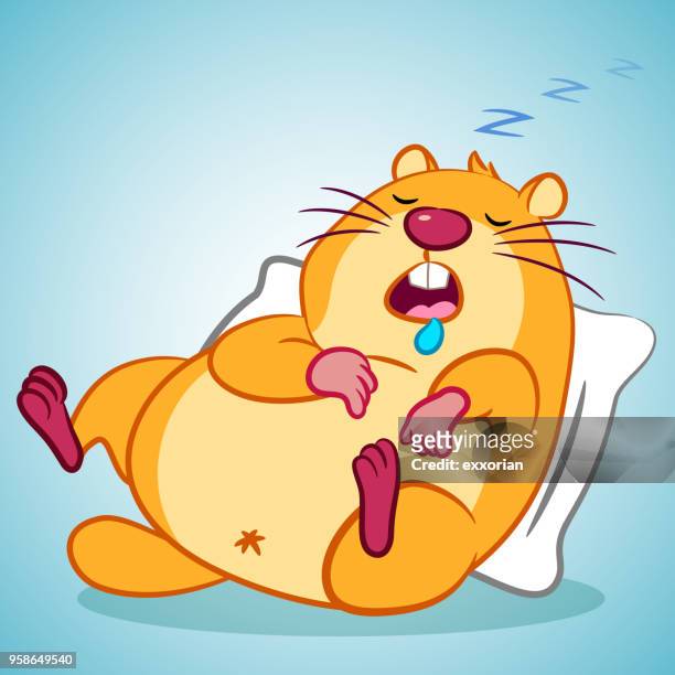 stockillustraties, clipart, cartoons en iconen met slapende groundhog stripfiguur - funny beaver