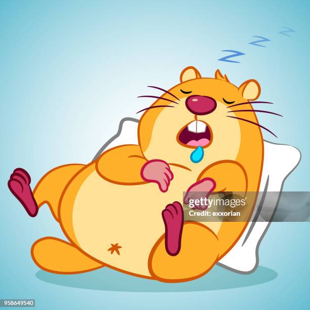 sleeping groundhog cartoon character - funny beaver stock illustrations