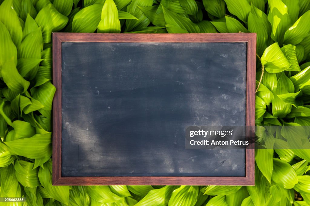 Blank blackboard with wood border frame on grass