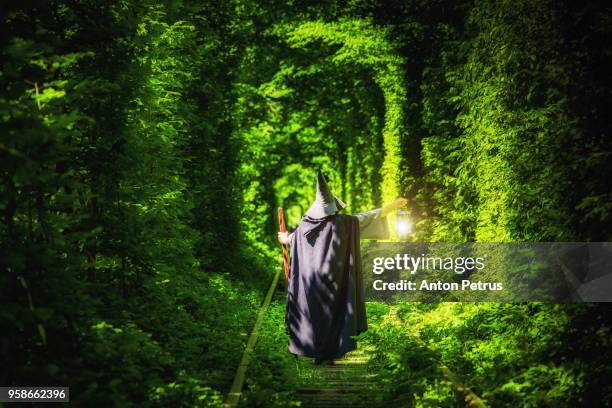 wizard with a lantern in a tunnel of green forest - green potion stock pictures, royalty-free photos & images