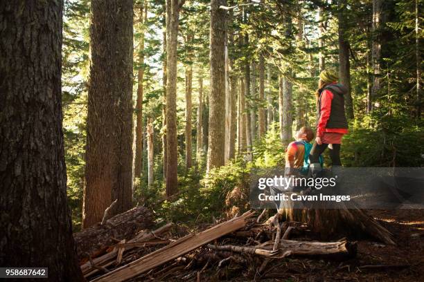 man sitting while woman standing on tree trunk at forest - mt rainier national park stock pictures, royalty-free photos & images