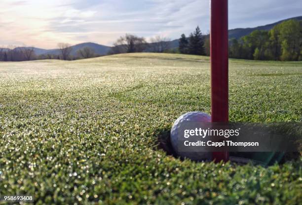 golf ball sinking into cup on golf course putting green - golf ball stock pictures, royalty-free photos & images