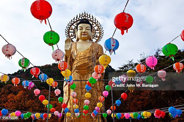 large buddha statue - beopjusa stock pictures, royalty-free photos & images