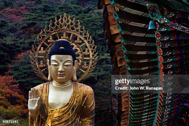 large buddha statue - beopjusa stock pictures, royalty-free photos & images