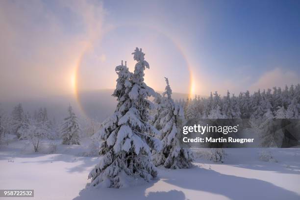 halo (icebow or gloriole) around sun with winter landscape. erzgebirge, ore mountains, fichtelberg, saxony, germany. - sundog stock pictures, royalty-free photos & images