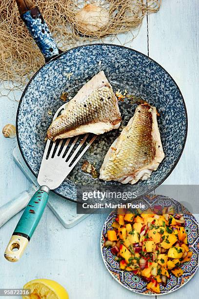 fillets of sea bass in pan with mango slasa - aliment préparé en filet photos et images de collection