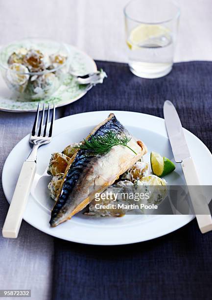 mackerel  fillet on a bed of crushed potato salad - makreel stockfoto's en -beelden